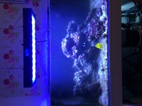 Marine aquarium