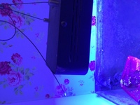 Marine aquarium