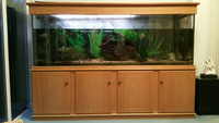 Large teak veneered aquarium cabinet (4 cupboards ) and lid. Cardiff