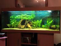 jewel rio 400 set up