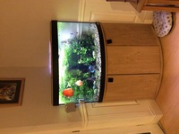 Fluval Venezia 190 corner aquarium in Oak £250