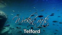 malawi cichlids