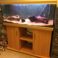 Rena 4 Foot Tank - Full Set up reduced