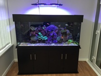 Complete marine setup