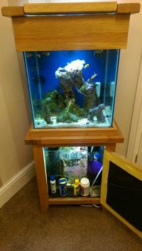 Live corals, Live rock, Marine fish in Solid oak fish tank and cabinet