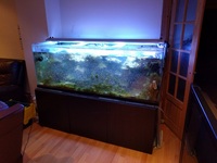 Help Needed for Disposal of 6ft Tank - Various Sizes of Fish Tanks and Accessories