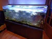 Help Needed for Disposal of 6ft Tank - Various Sizes of Fish Tanks and Accessories