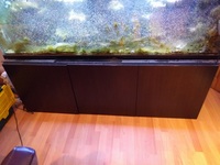 Help Needed for Disposal of 6ft Tank - Various Sizes of Fish Tanks and Accessories