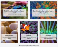 Reefphyto Live Food For Your Marine Aquarium