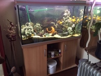 RENA 450 LT FISH TANK £500 ovno
