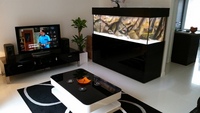 Aquarium Manufacturers in UK . Bespoke Marine & Tropical Fish Tanks. Metal Framed Cabinets.