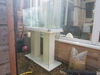 3ft tank with stand 2 heaters and T5 lighting unit