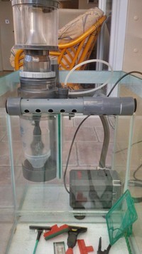 4 foot marine setup with sump and pumps