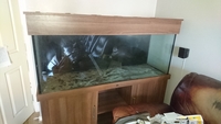 5 FT ND Aquatics tank for sale