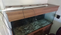 5 FT ND Aquatics tank for sale
