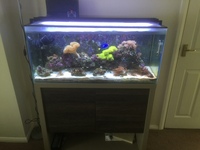 fluval m90 full marine setup