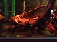 Rena Aqualife 500L 5ft X 2ft with L Number Plecs for sale