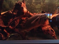 Rena Aqualife 500L 5ft X 2ft with L Number Plecs for sale