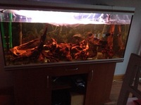 Rena Aqualife 500L 5ft X 2ft with L Number Plecs for sale