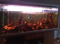 Rena Aqualife 500L 5ft X 2ft with L Number Plecs for sale