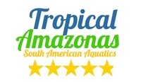 TA AQUATICS L NUMBER PLECOS TETRAS + MORE