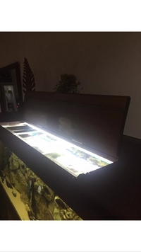 Fish Tank 6ft Including Everything