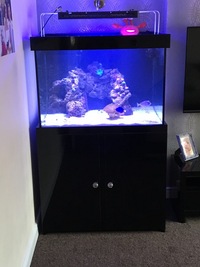 Reluctant Marine Tank Sale 36x30x24 inches