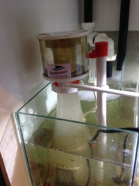 Reluctant Marine Tank Sale 36x30x24 inches
