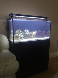 Evolution Aqua marine 900 fish tank with cabinet