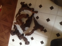 5 pieces of bogwood for sale or swop for mollies,platties,guppies,swordtails