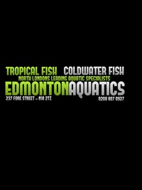 EDMONTON AQUATICS - NORTH LONDON - SEPTEMBER 2016 - TROPICAL FISH SPECIALISTS -
