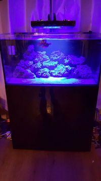 Ea Reef 900s complete set up