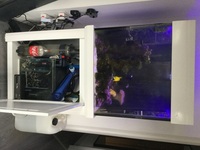 Entire aquarium with all fish and equipment