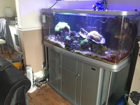 4 Foot Marine Fish Tank - complete setup. Only £450. MUST GO