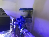 4 Foot Marine Fish Tank - complete setup. Only £450. MUST GO
