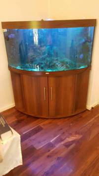 Juwel Trigon 350 Marine Converted tank