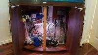 Juwel Trigon 350 Marine Converted tank