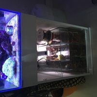 Clearseal Reefspace 500 ( full reef set up ) £700 ono
