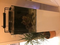 Clearseal Reefspace 500 ( full reef set up ) £700 ono