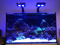 Red Sea MAX E260 Marine Aquarium - Complete setup only 6 months old