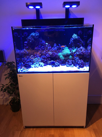 Red Sea MAX E260 Marine Aquarium - Complete setup only 6 months old