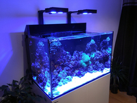 Red Sea MAX E260 Marine Aquarium - Complete setup only 6 months old