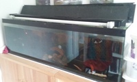 4ft fishtank full set up £65