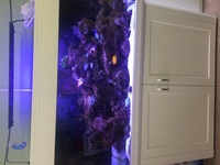 White Aqua one 400 marine/tropical fish tank aquarium with setup (delivery/installation) £439