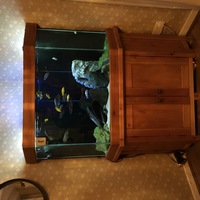 Custom built corner aquarium and cabinet £350