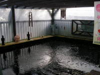 WANTED - NEXUS POND EQUIPMENT- FILTERS, UVS, PUMPS, VATS ETC