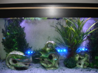 Aquamanta Tank & Stand