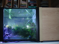 Aquamanta Tank & Stand