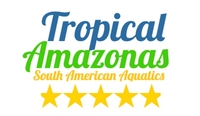 TA AQUATICS PLECOS, TETRAS, SA CICHLIDS, CORYS + MORE