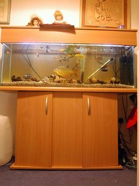 Complete 4ft system